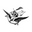 stonylayneco.com favicon